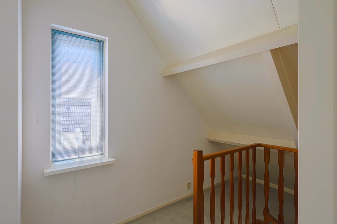 Foto 38 van IJsvogel 13