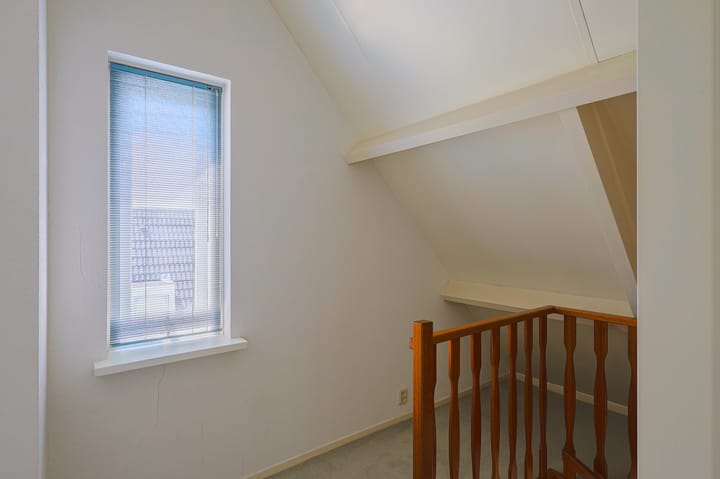 Foto 38 van IJsvogel 13