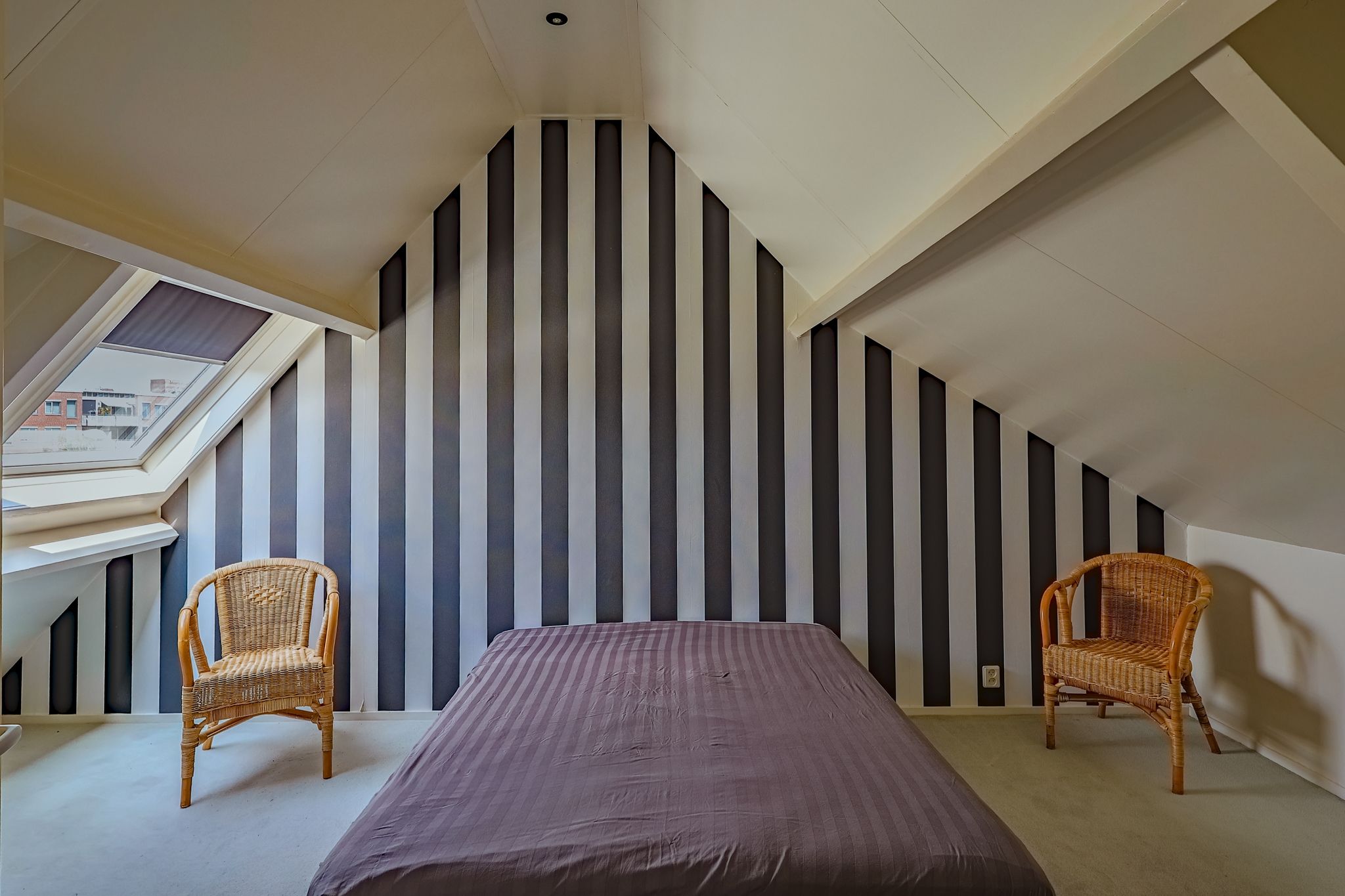 Foto 39 van IJsvogel 13