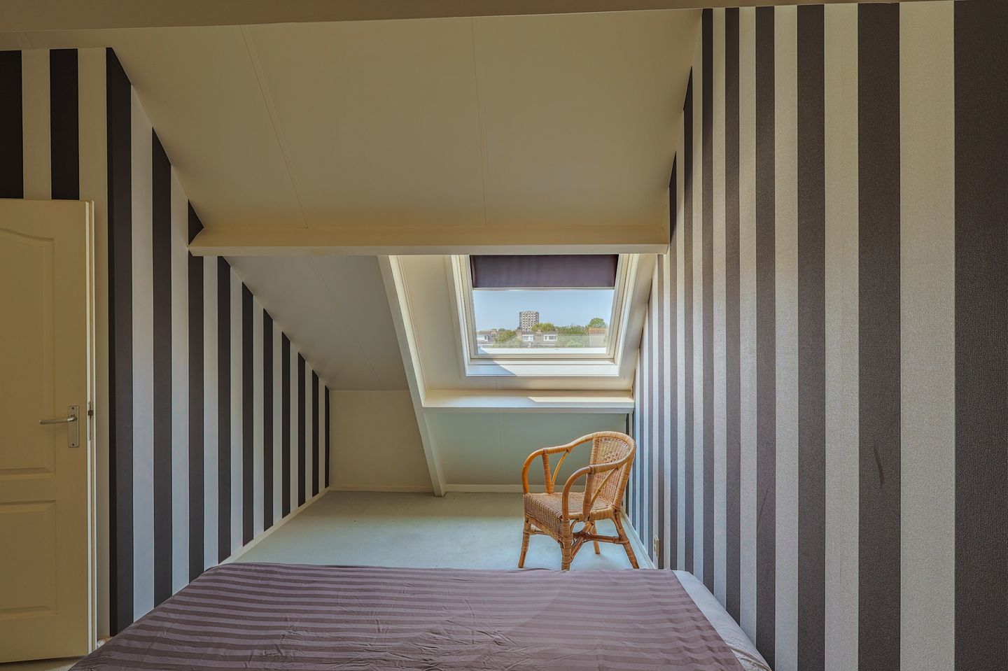 Foto 40 van IJsvogel 13