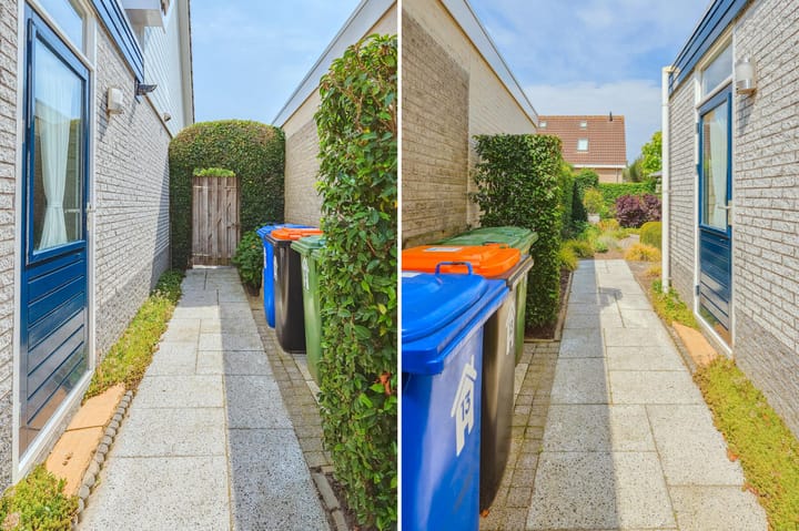 Foto 42 van IJsvogel 13