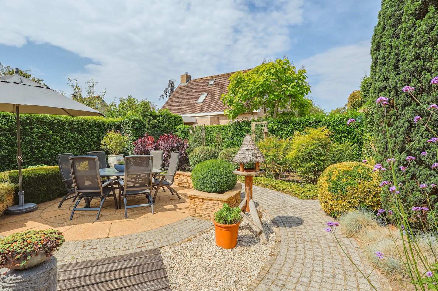 Foto 44 van IJsvogel 13