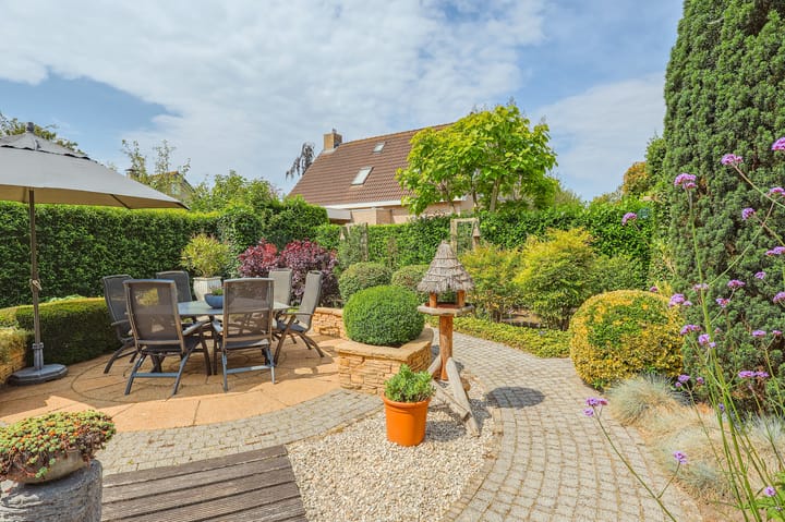 Foto 44 van IJsvogel 13