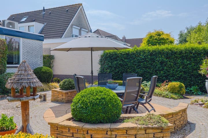 Foto 45 van IJsvogel 13