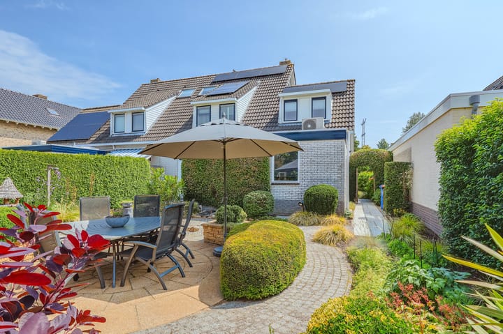 Foto 46 van IJsvogel 13