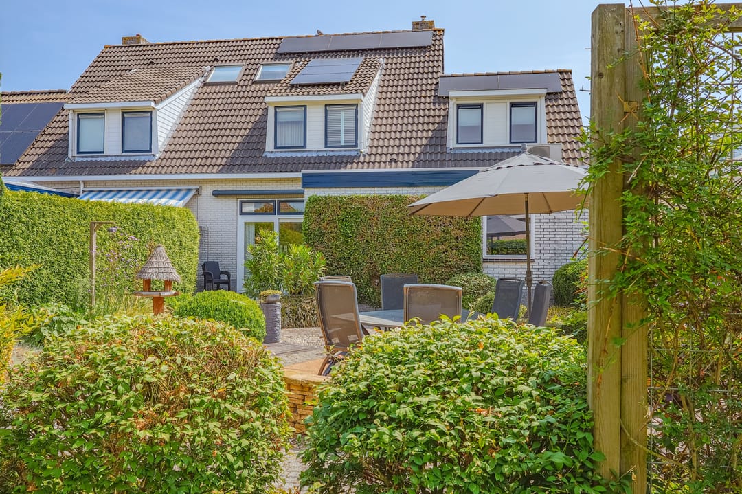 Foto 2 van IJsvogel 13