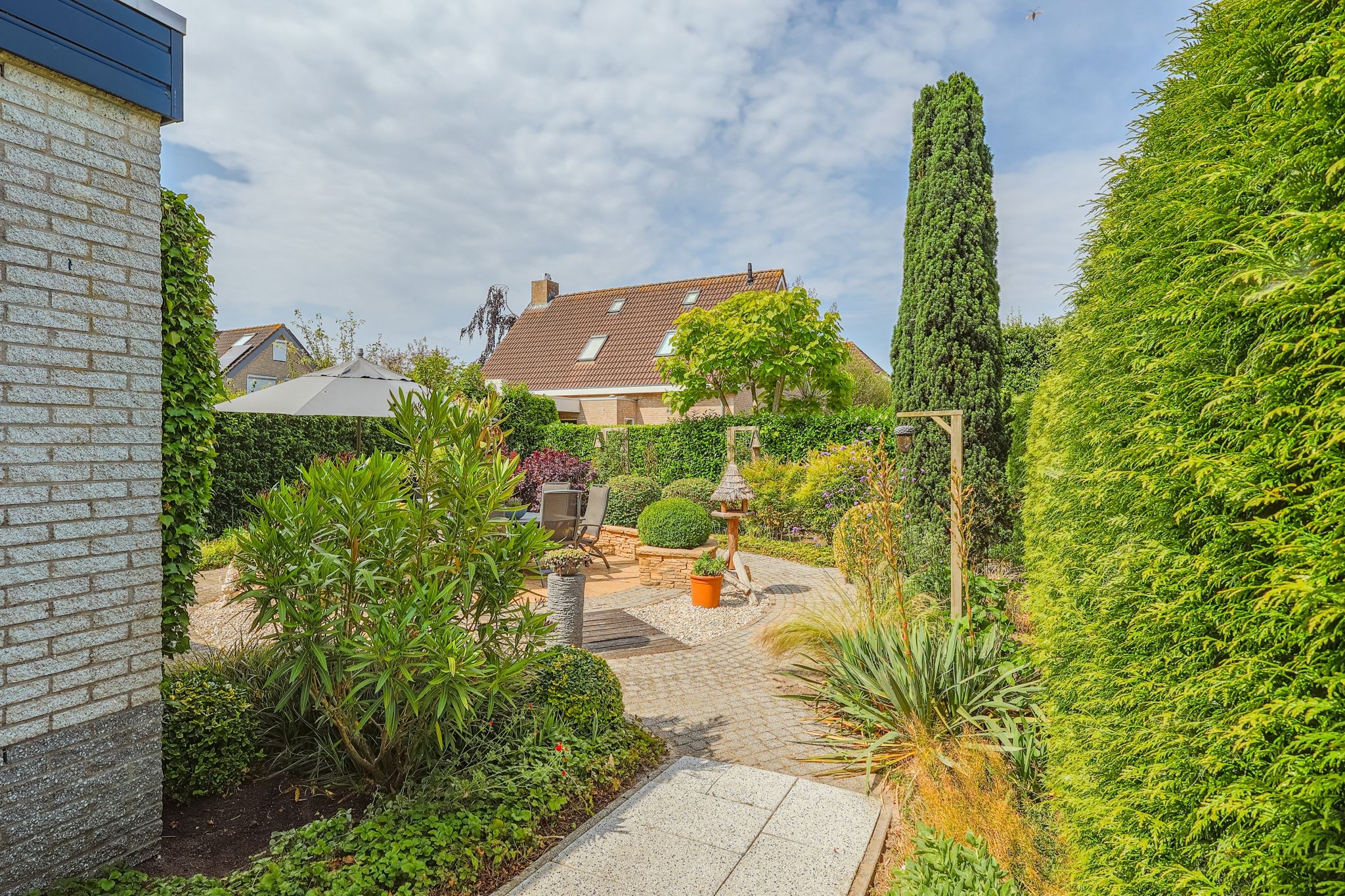 Foto 48 van IJsvogel 13