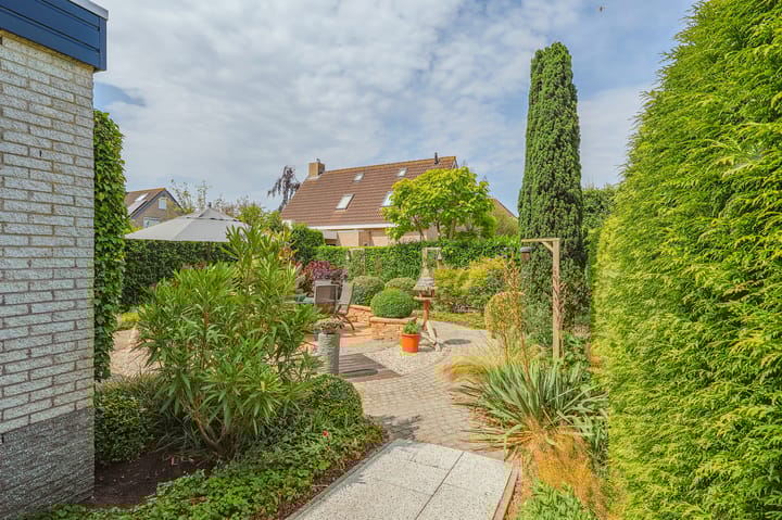 Foto 48 van IJsvogel 13