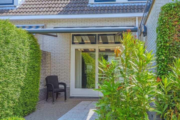 Foto 49 van IJsvogel 13