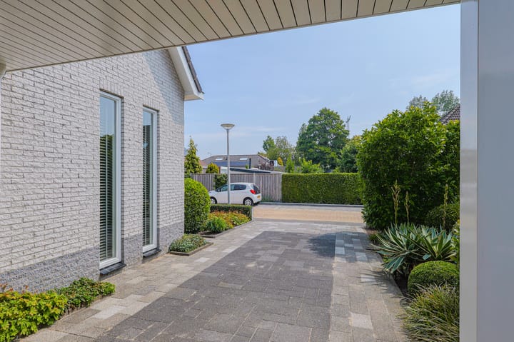 Foto 51 van IJsvogel 13