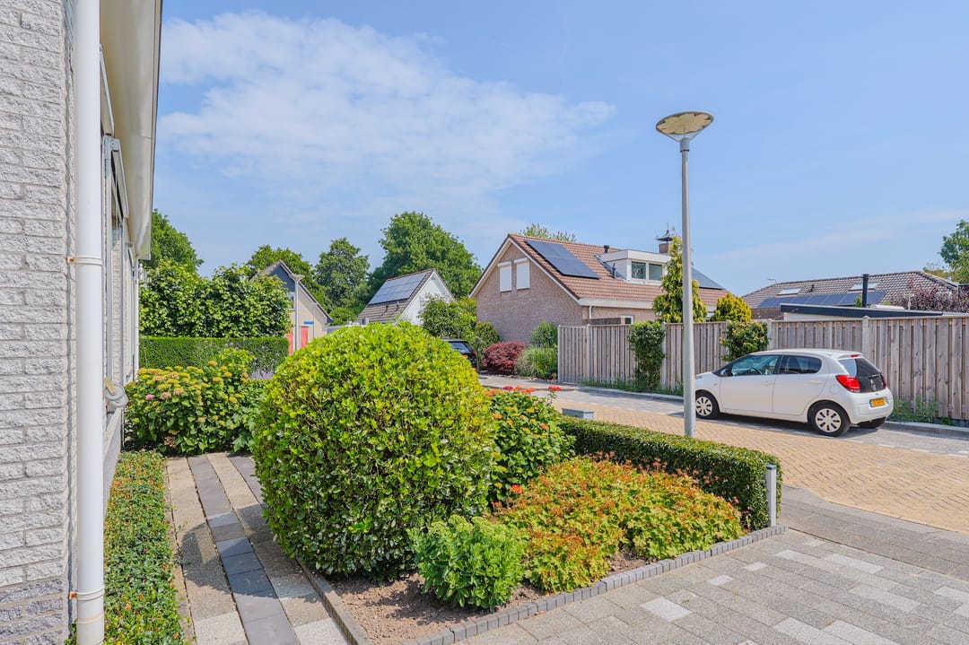 Foto 52 van IJsvogel 13