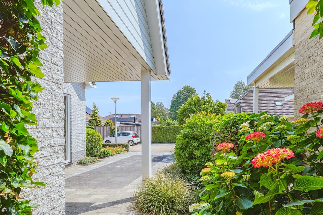 Foto 53 van IJsvogel 13