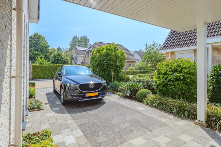 Foto 54 van IJsvogel 13