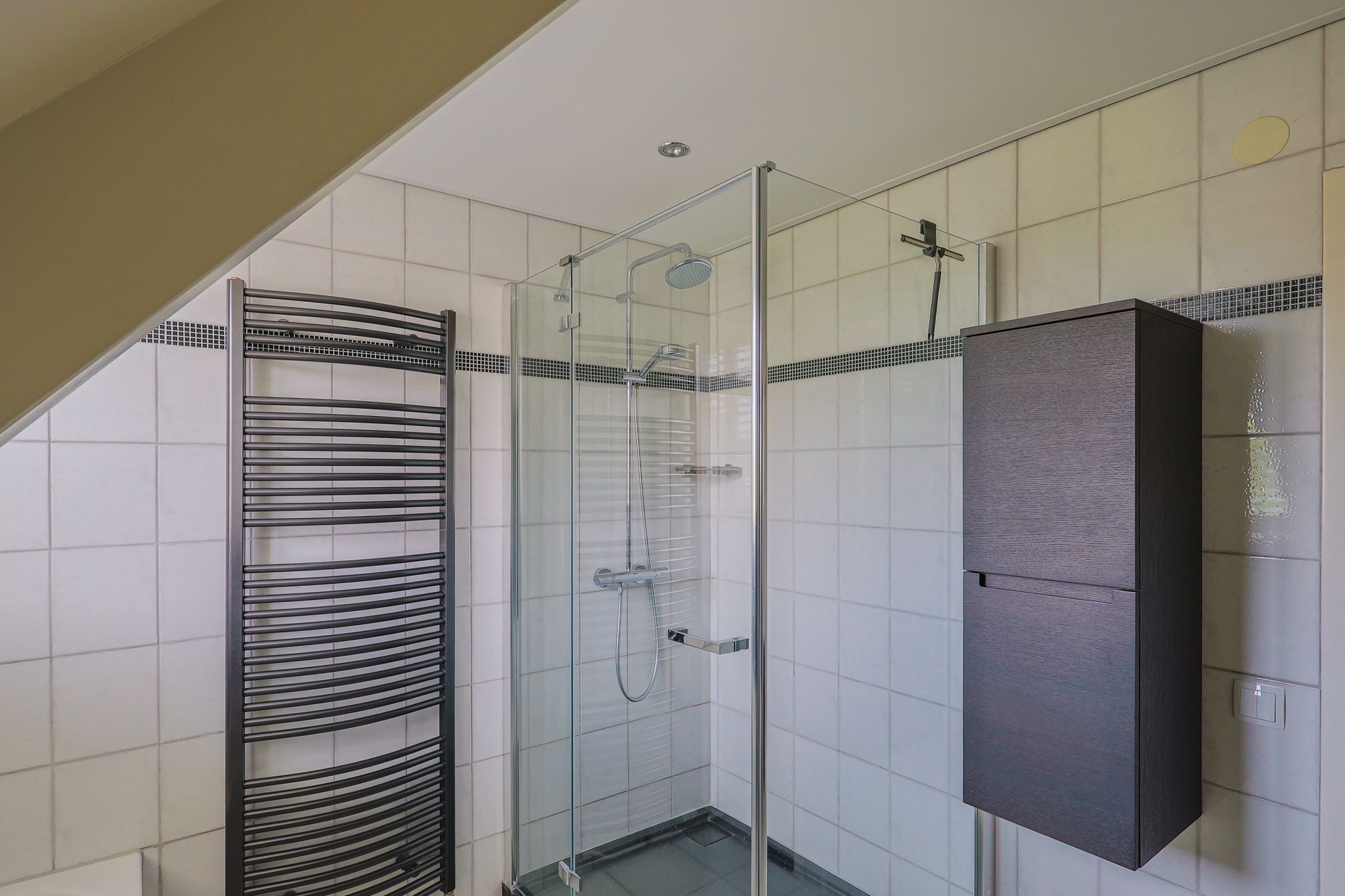 Foto 33 van IJsvogel 13