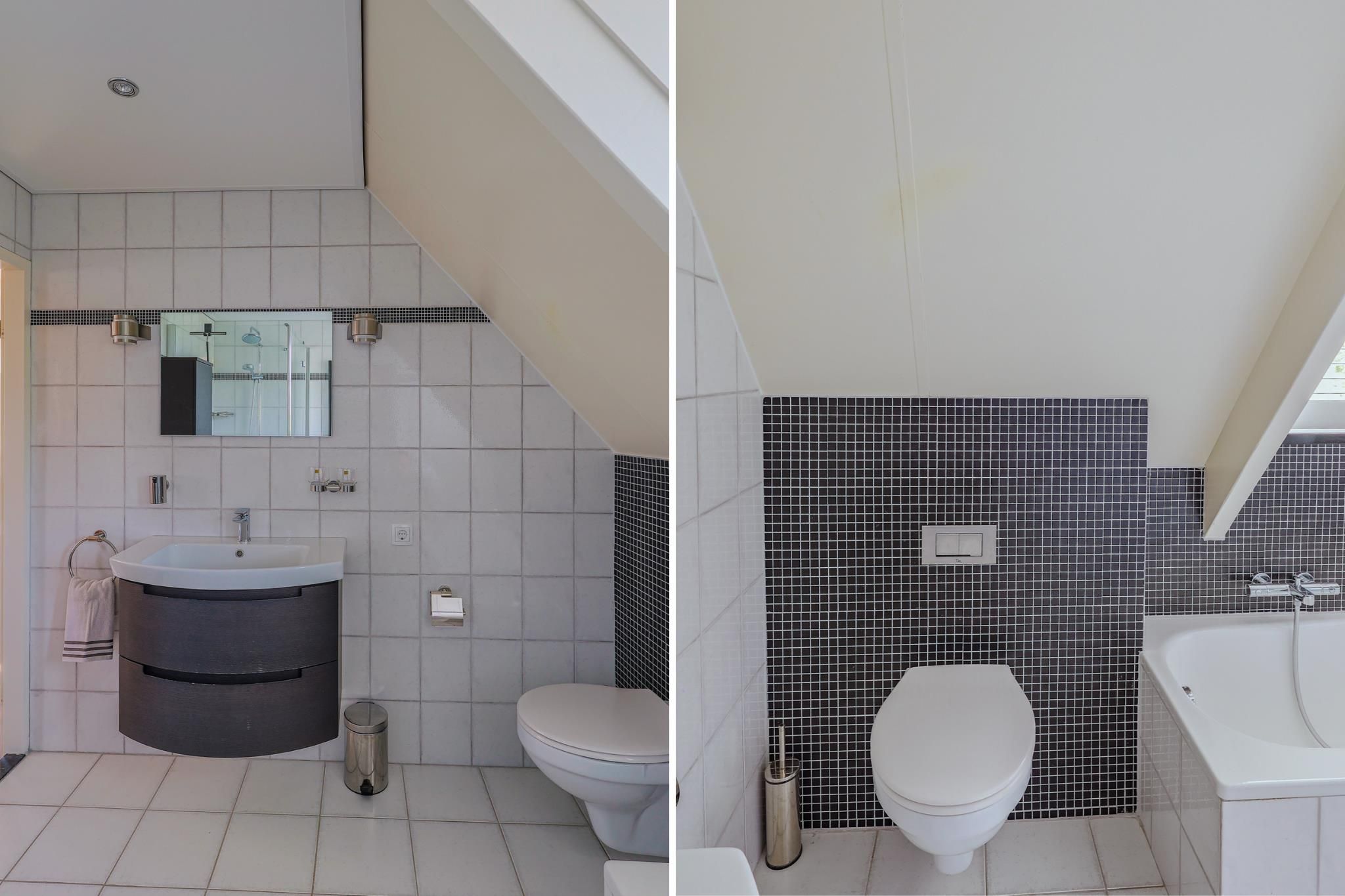 Foto 36 van IJsvogel 13