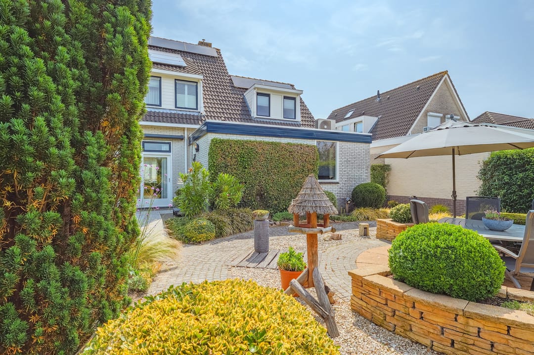 Foto 47 van IJsvogel 13