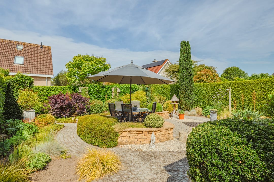 Foto 43 van IJsvogel 13