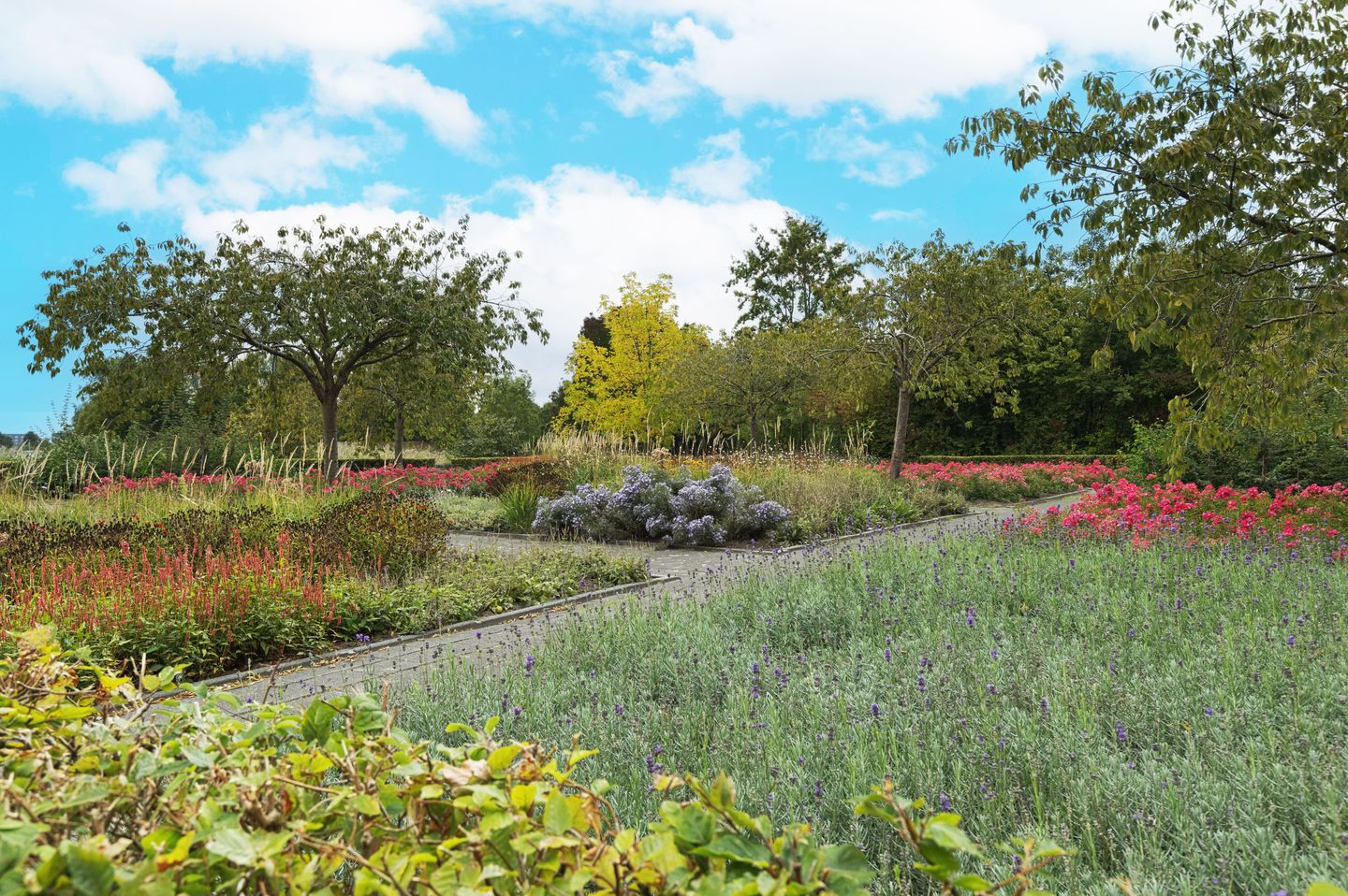 Foto 35 van Riedermeet 31