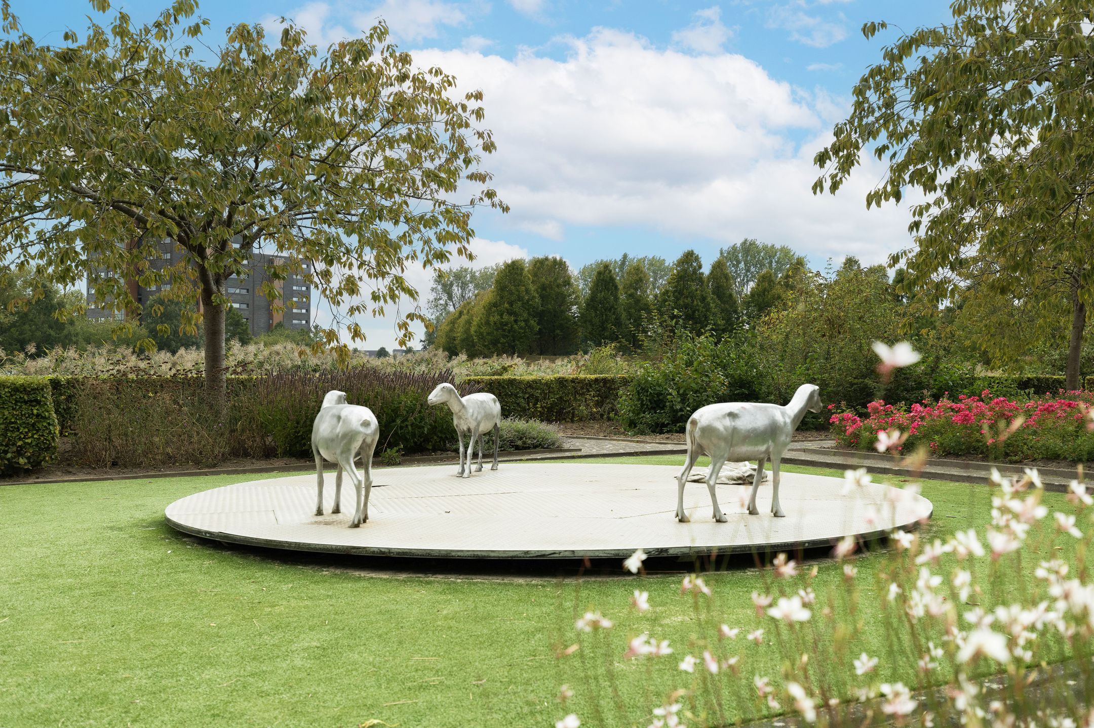 Foto 36 van Riedermeet 31