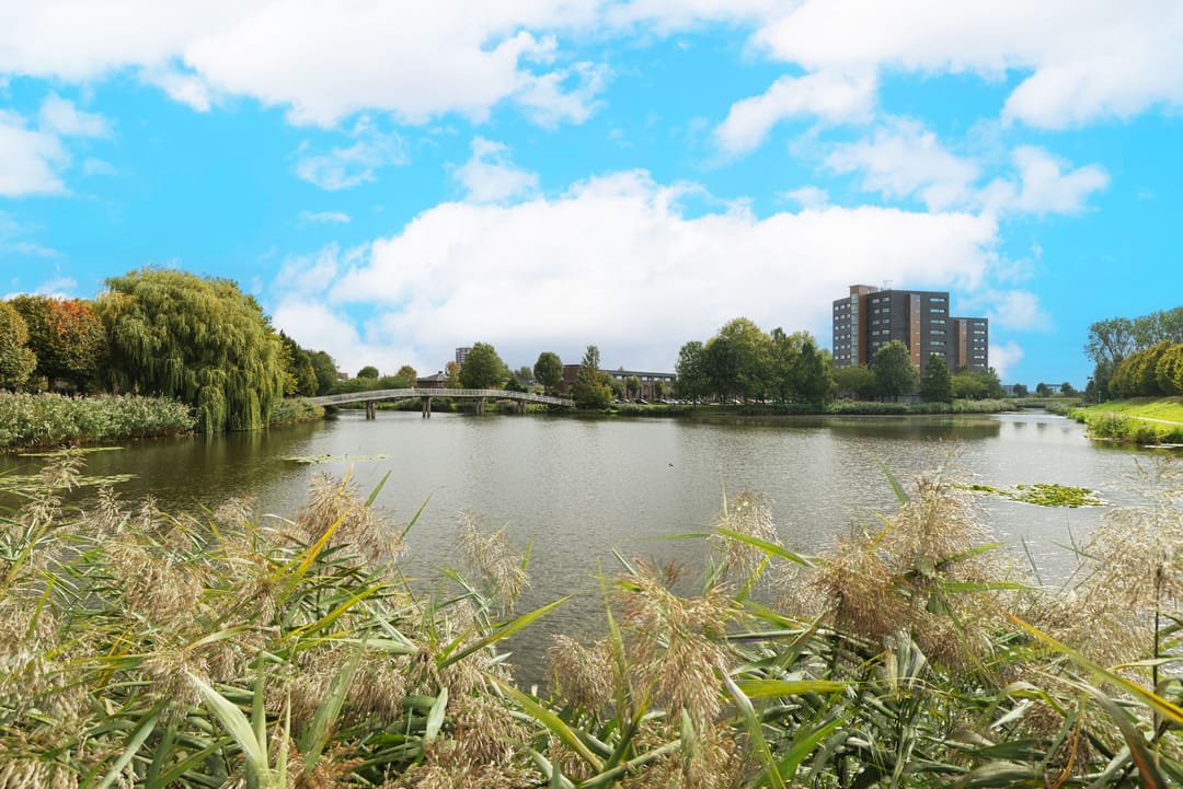 Foto 37 van Riedermeet 31