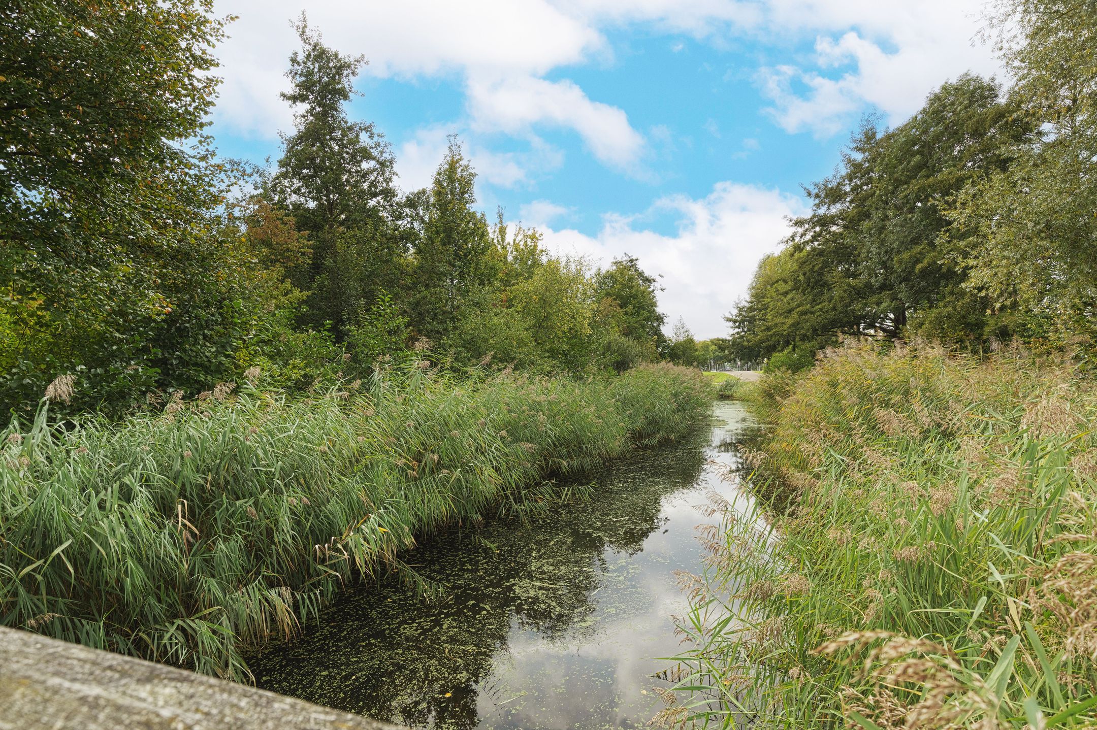 Foto 39 van Riedermeet 31