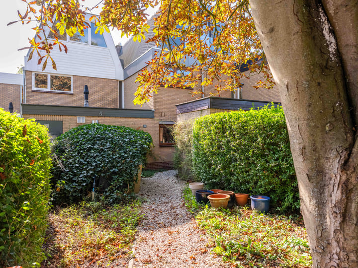 Photo 4 of Sileneweg 26