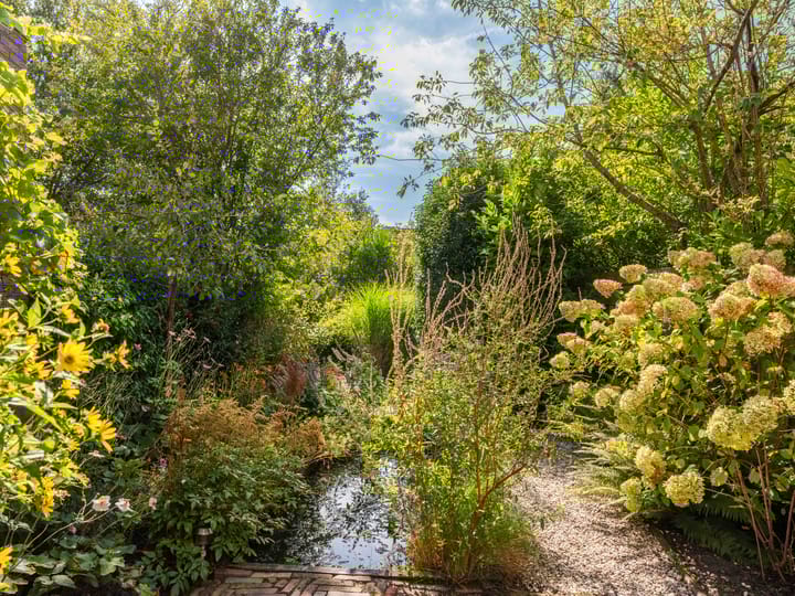 Photo 2 of Sileneweg 26