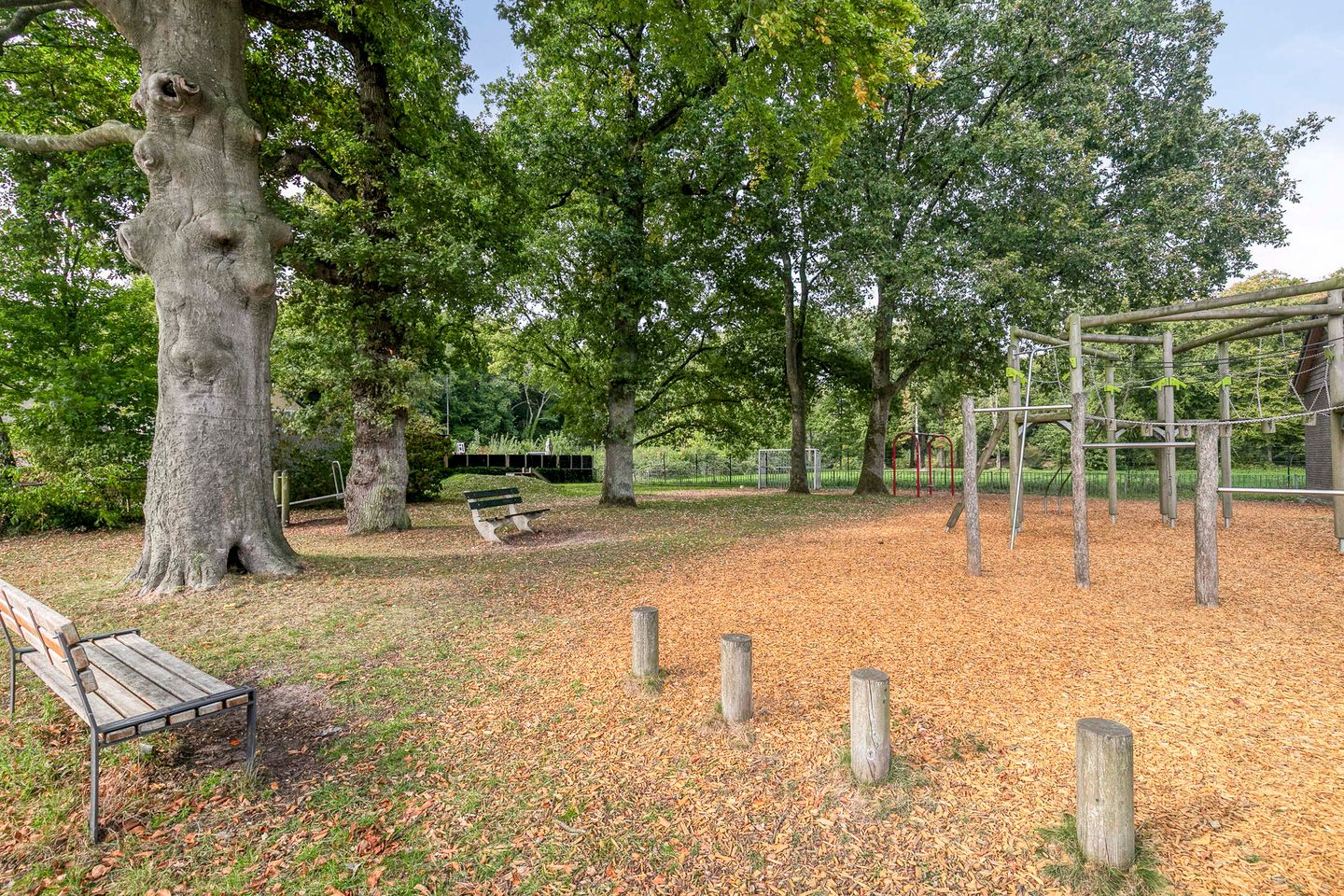 Foto 29 van Berkenlaan 37