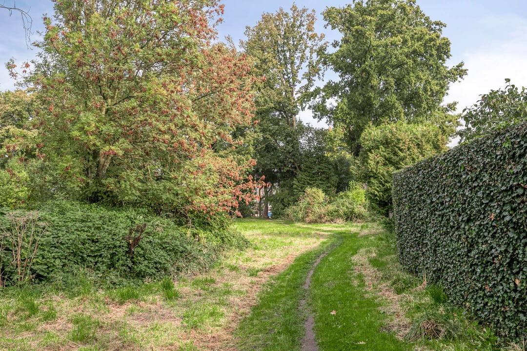 Foto 31 van Berkenlaan 37