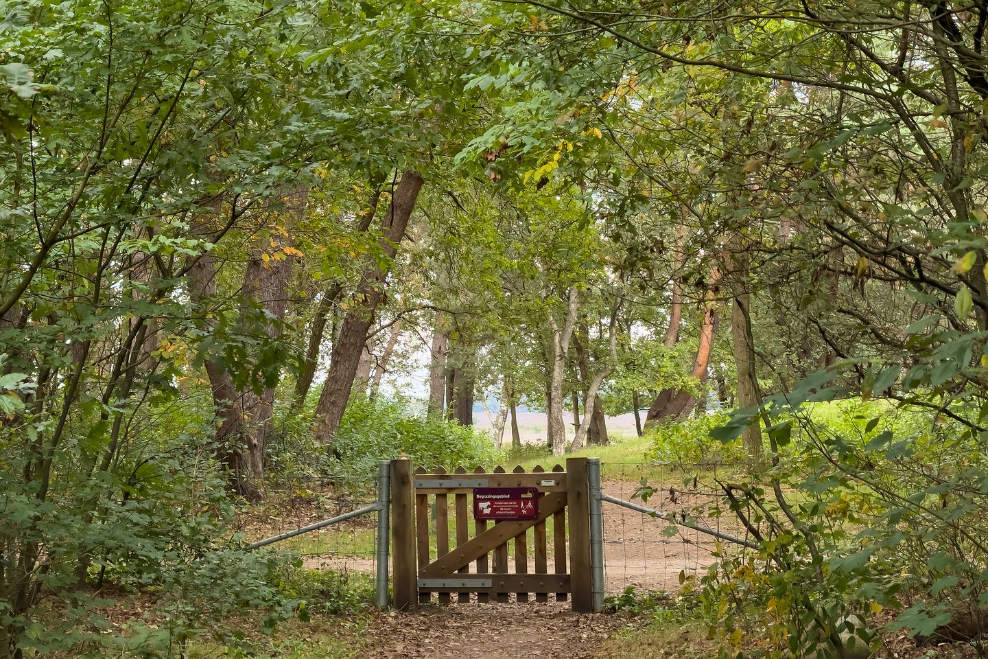 Foto 29 van Jacob van Campenlaan 106