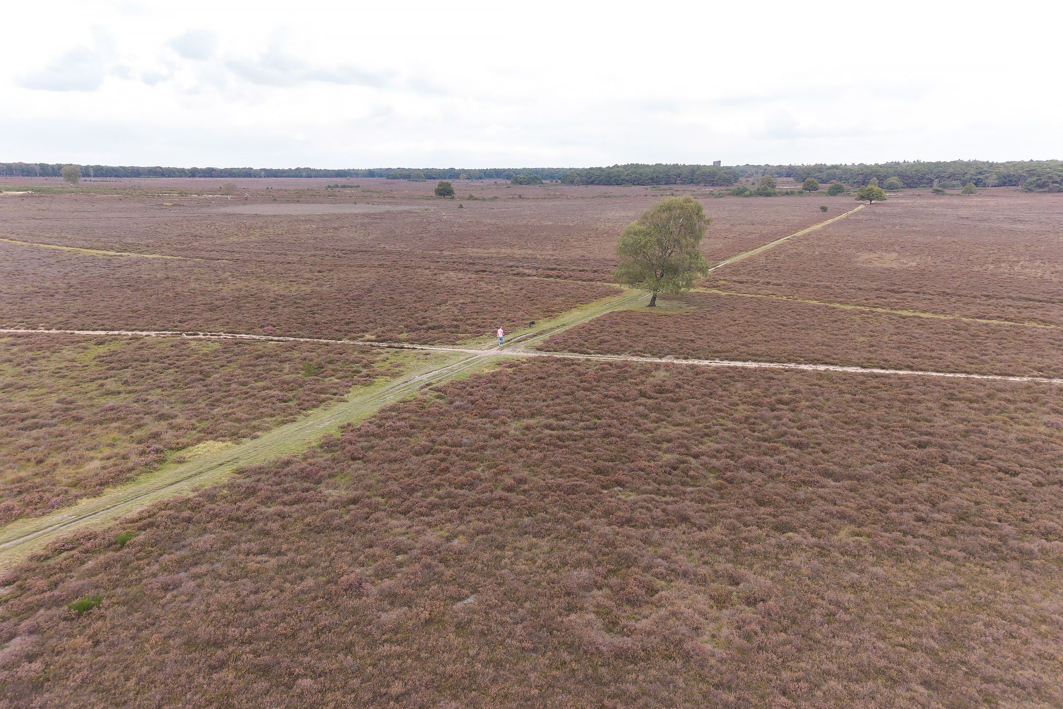 Foto 30 van Jacob van Campenlaan 106