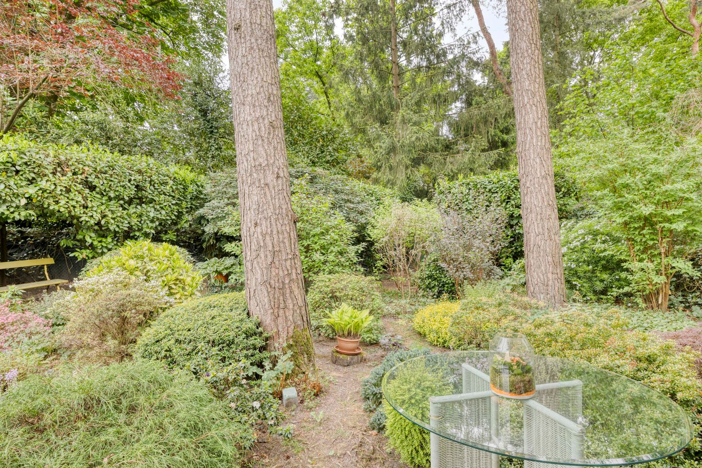 Foto 25 van Dianabos 9