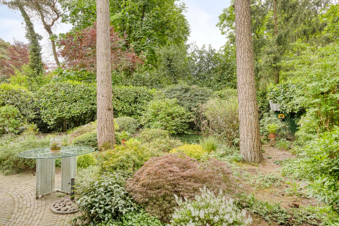 Foto 26 van Dianabos 9