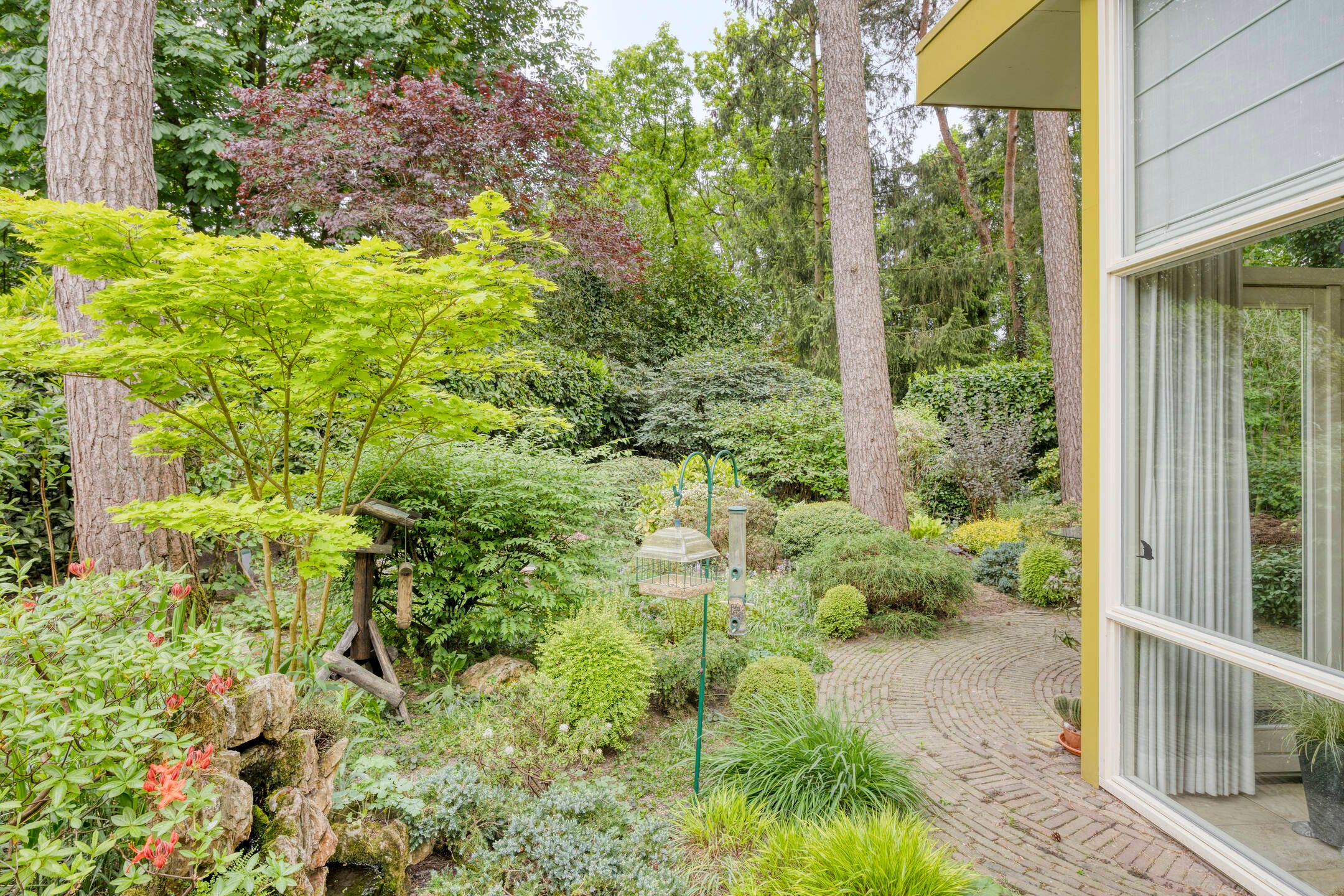 Foto 27 van Dianabos 9