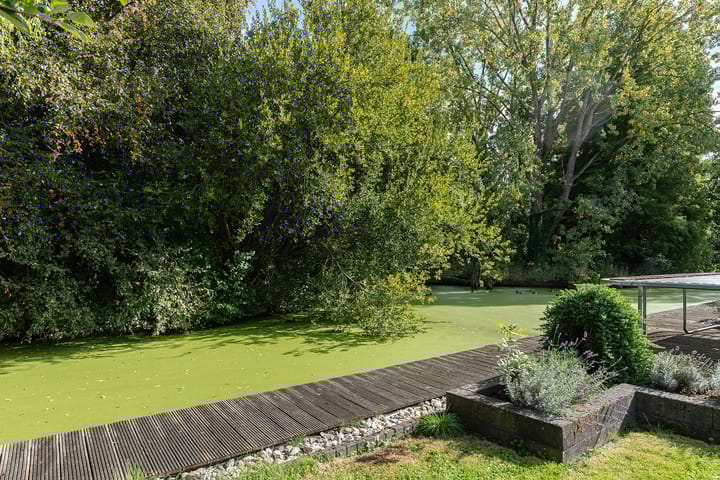 Photo 39 of Weresteijn 15