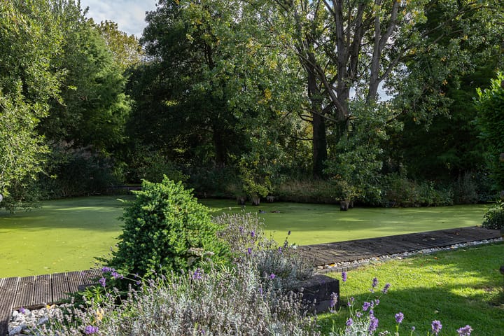 Photo 40 of Weresteijn 15