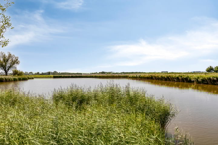 Foto 39 van Carterlaan 36