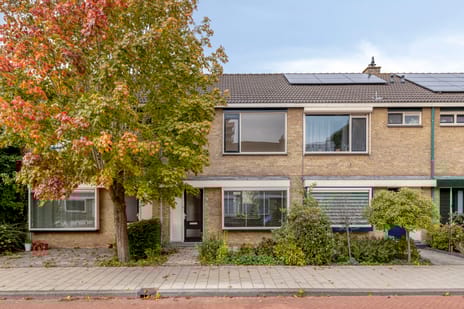 Virgostraat thumbnail