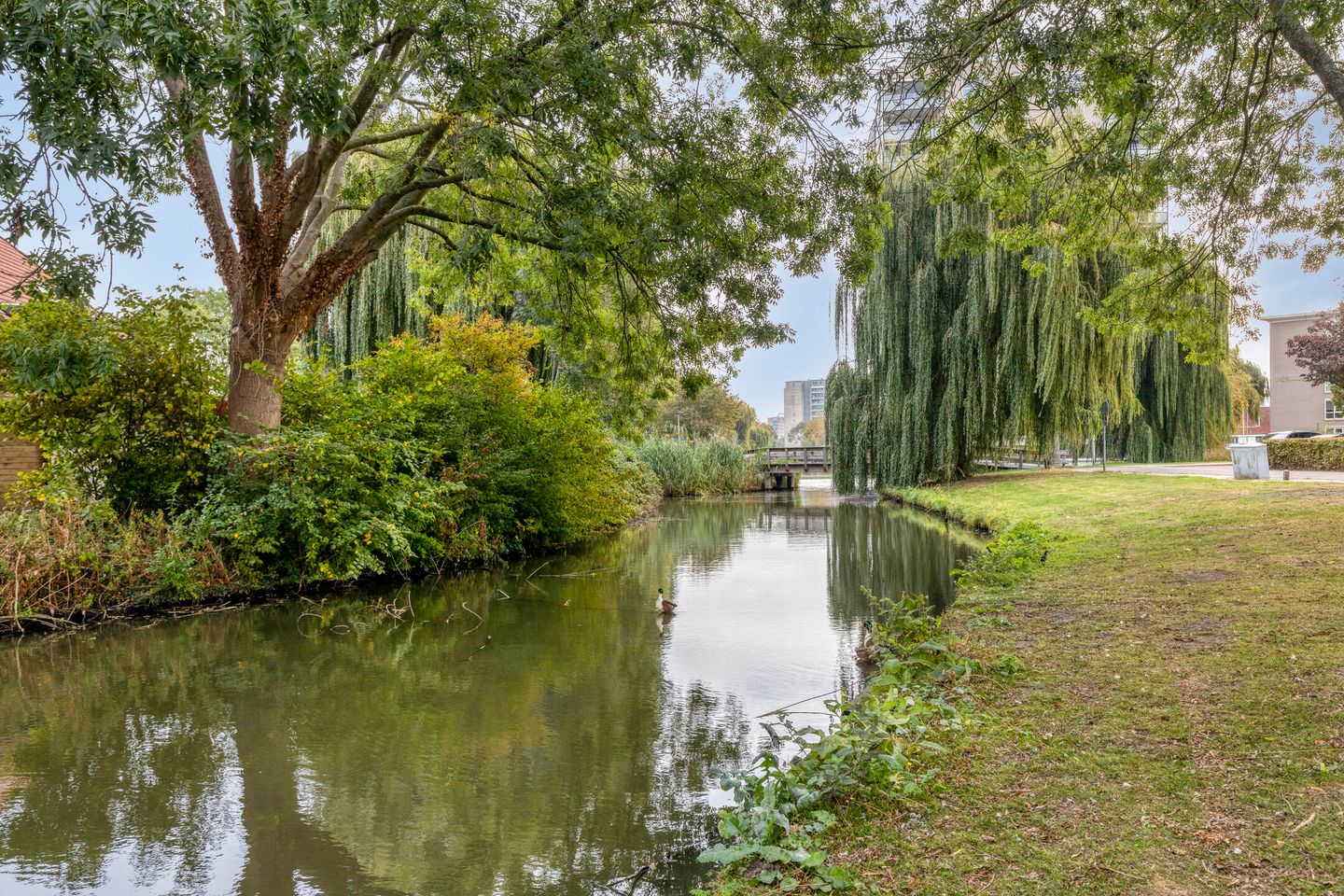 Foto 35 van Virgostraat 3