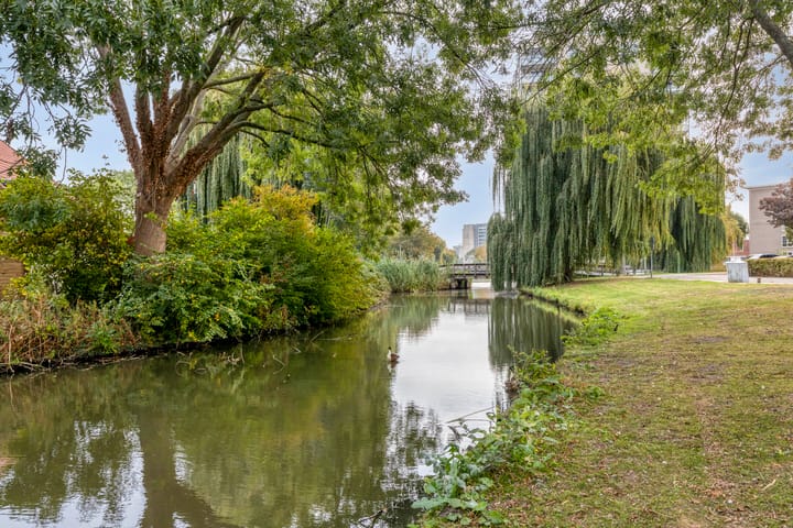 Foto 35 van Virgostraat 3