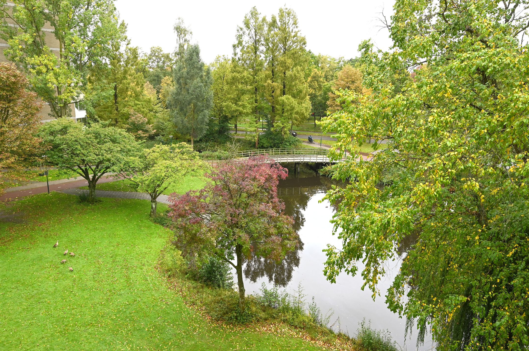 Foto 12 van Veenbesstraat 304