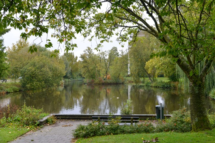 Foto 19 van Veenbesstraat 304