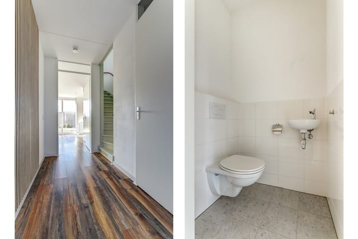 Foto 6 van Silenus 37