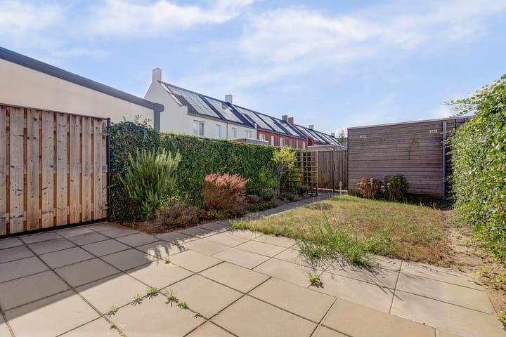 Foto 16 van Silenus 37