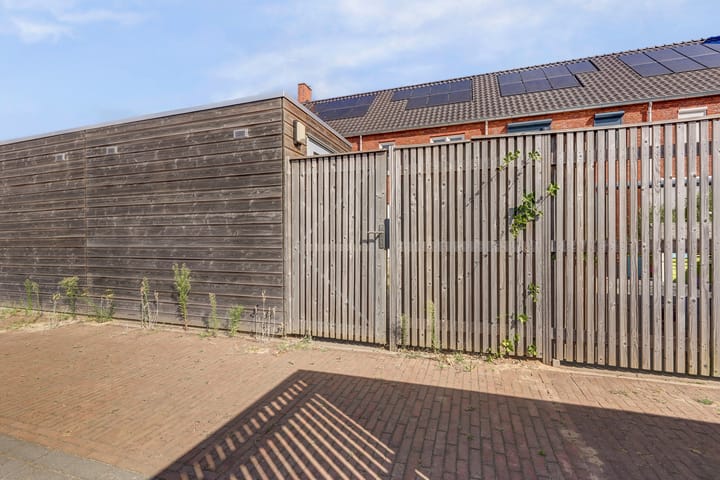 Foto 18 van Silenus 37