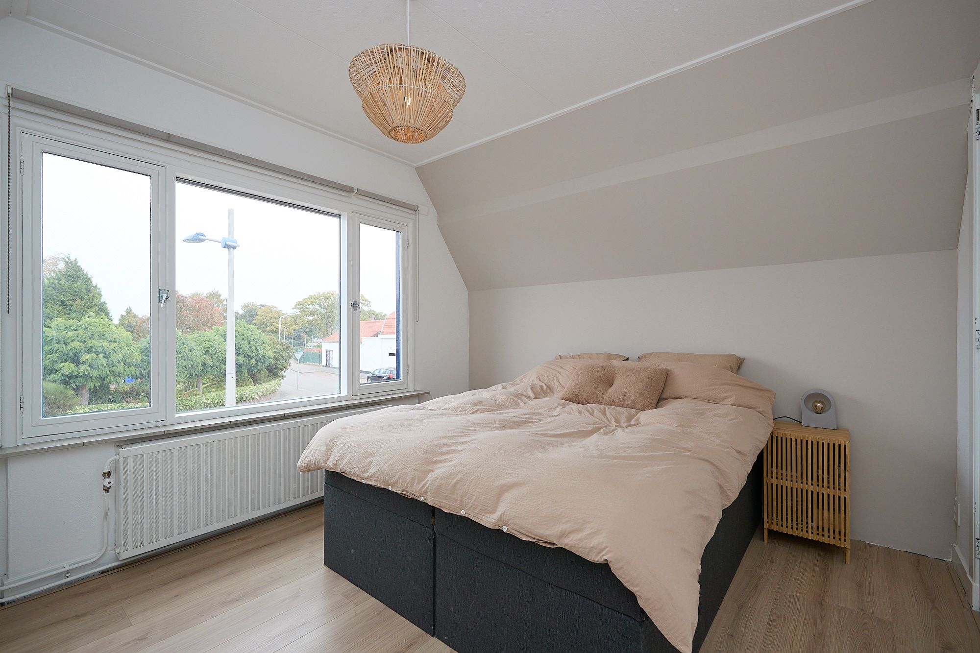 Foto 12 van Axelsestraat 89