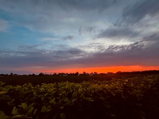 Photo 14 of Vierhonderdpolderdijk 2