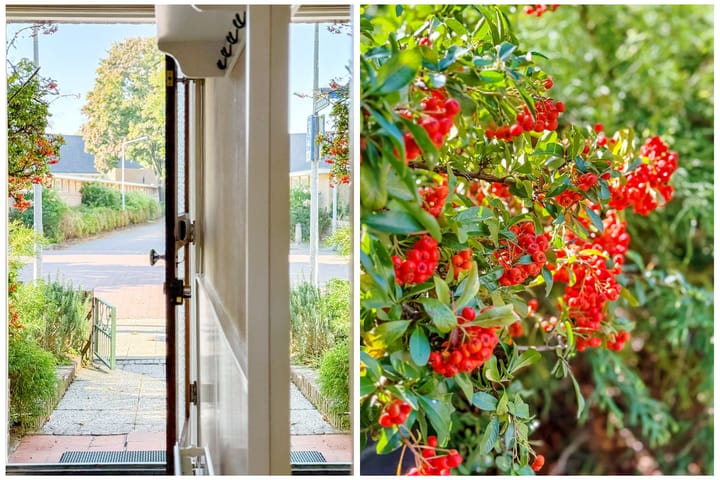 Foto 8 van Orchideestraat 41