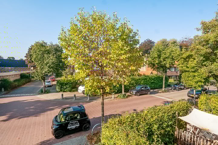 Foto 41 van Orchideestraat 41