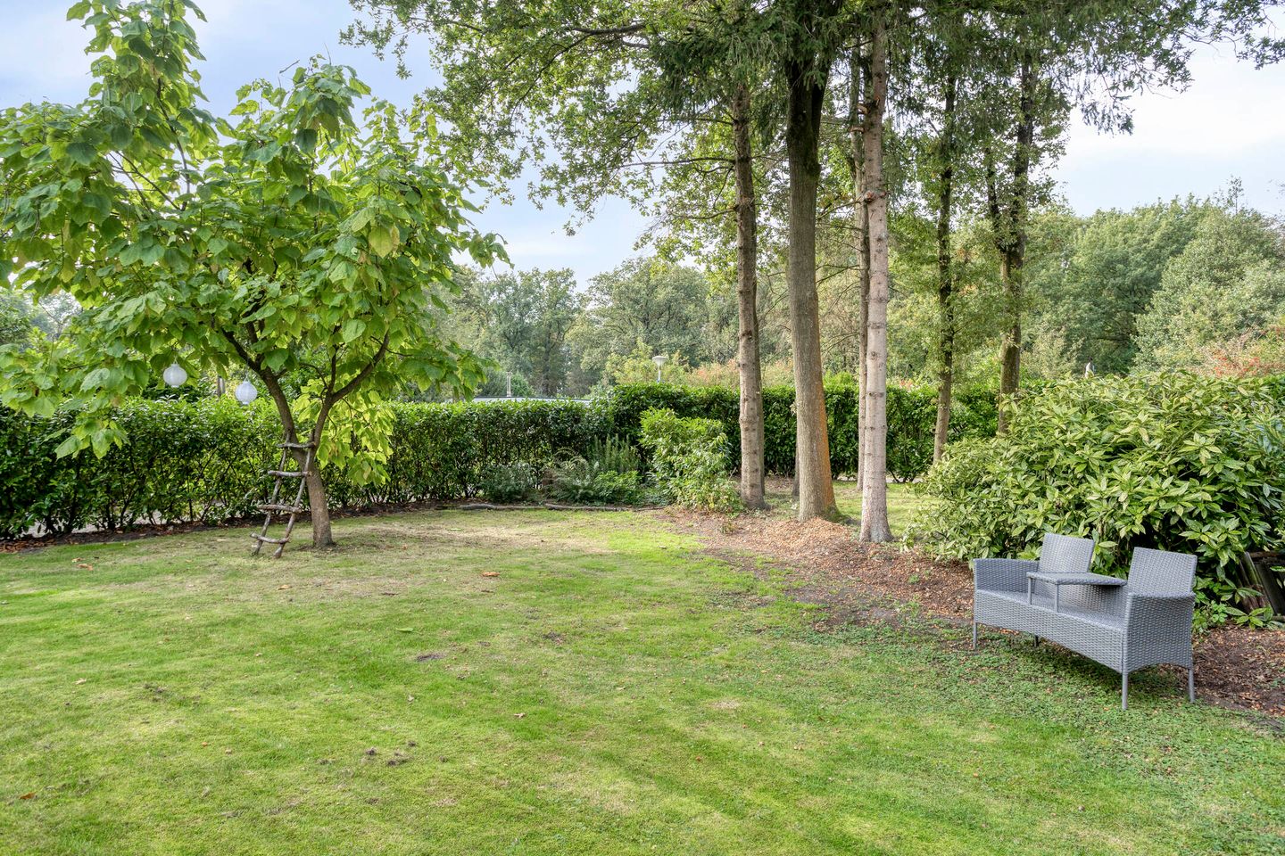 Foto 4 van De Valouwe 65